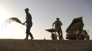 Workers doing shovel tasks.