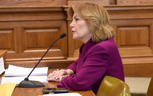 Representative Brenda Shields talking at a meeting.